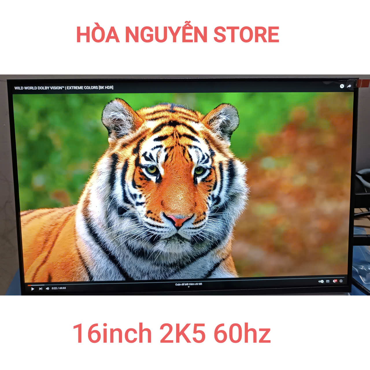 Màn đồ họa 16inch 2K5 60hz